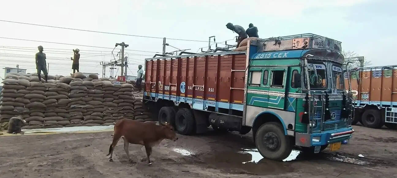 अनूपपुर: रेलवे रैक प्वाइंट पर चावल परिवहन में खेल, निगम के अनुबंध की शर्तों पर उठे सवाल