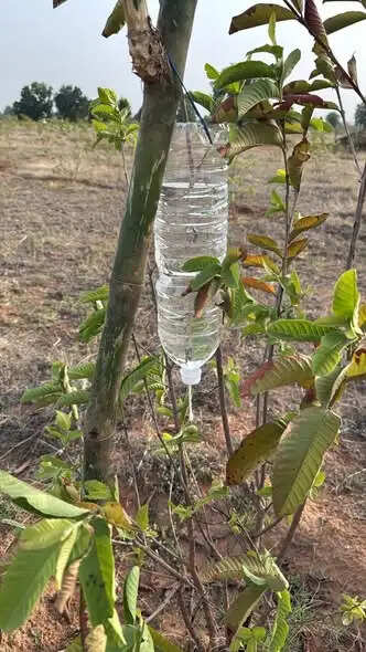 शहडोल: प्लास्टिक बोतलों के पुनः उपयोग से जल एवं पर्यावरण संरक्षण का संदेश