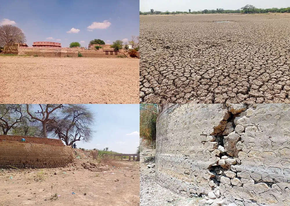 कोड़मदेसर तालाब की बदहाली&nbsp;: प्यास से मर रहे पशु-पक्षी, ग्रामीणों में रोष