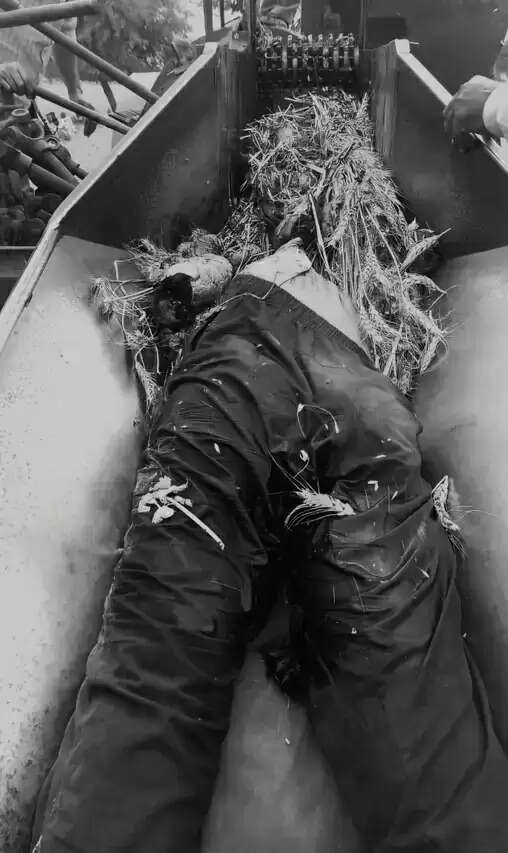 थ्रेसर से कटकर युवक की मौत