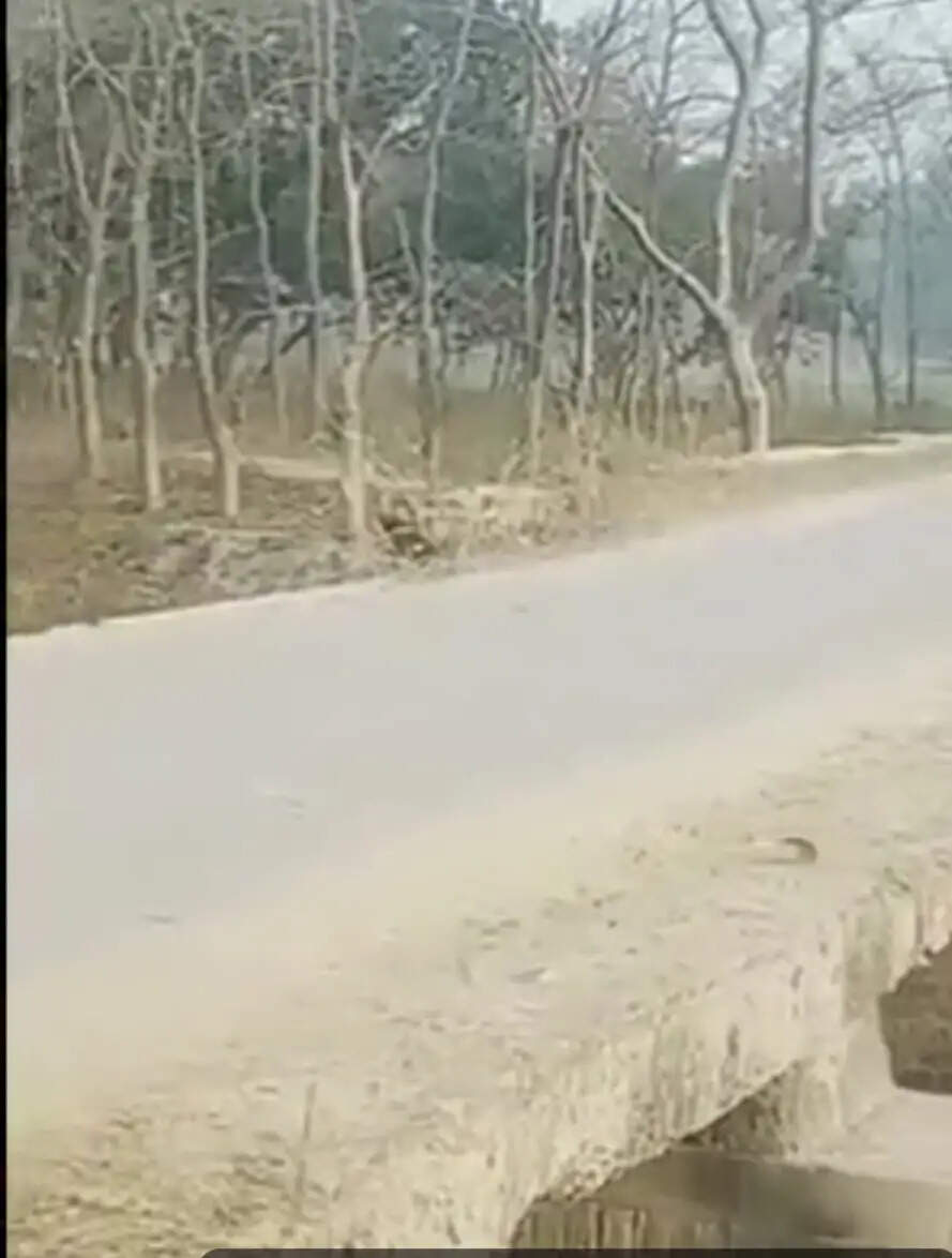 दीर्घ सेतु से आसान होंगी बीकापुर की बड़ी-बड़ी मुश्किलें