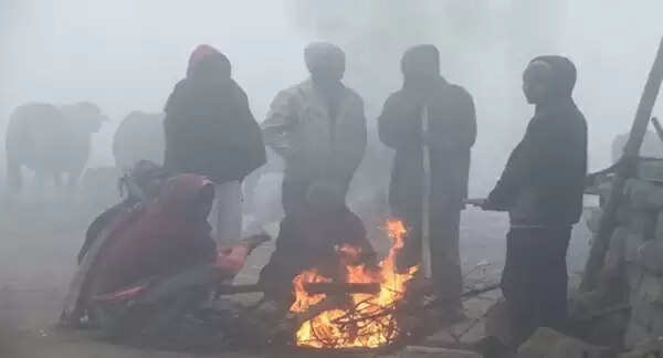 मध्‍य प्रदेश में ठंड का कहर जारी, मंदसौर में पारा 2.5 डिग्री पर पहुंचा, शीतलहर-कोहरे से जनजीवन प्रभावित