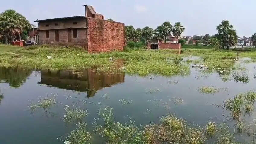 (अपडेट ) वाराणसी में गंगा का रौद्र रूप, रात आठ बजे 69.52 मीटर पहुंचा जलस्तर