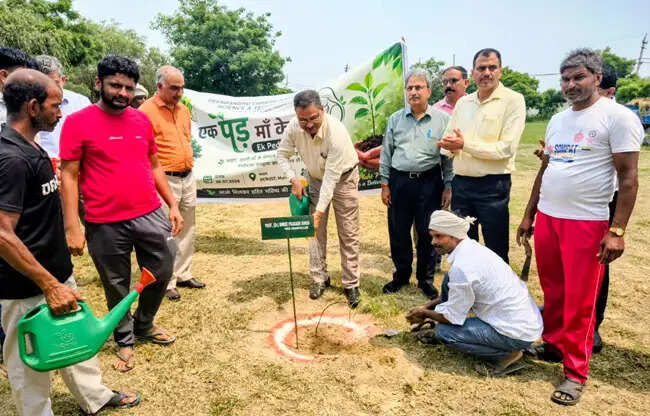 सोनीपत:  डीसीआरयूएसटी में एक पौधा मां के नाम अभियान, नए विद्यार्थियों को जिम्मेदारी