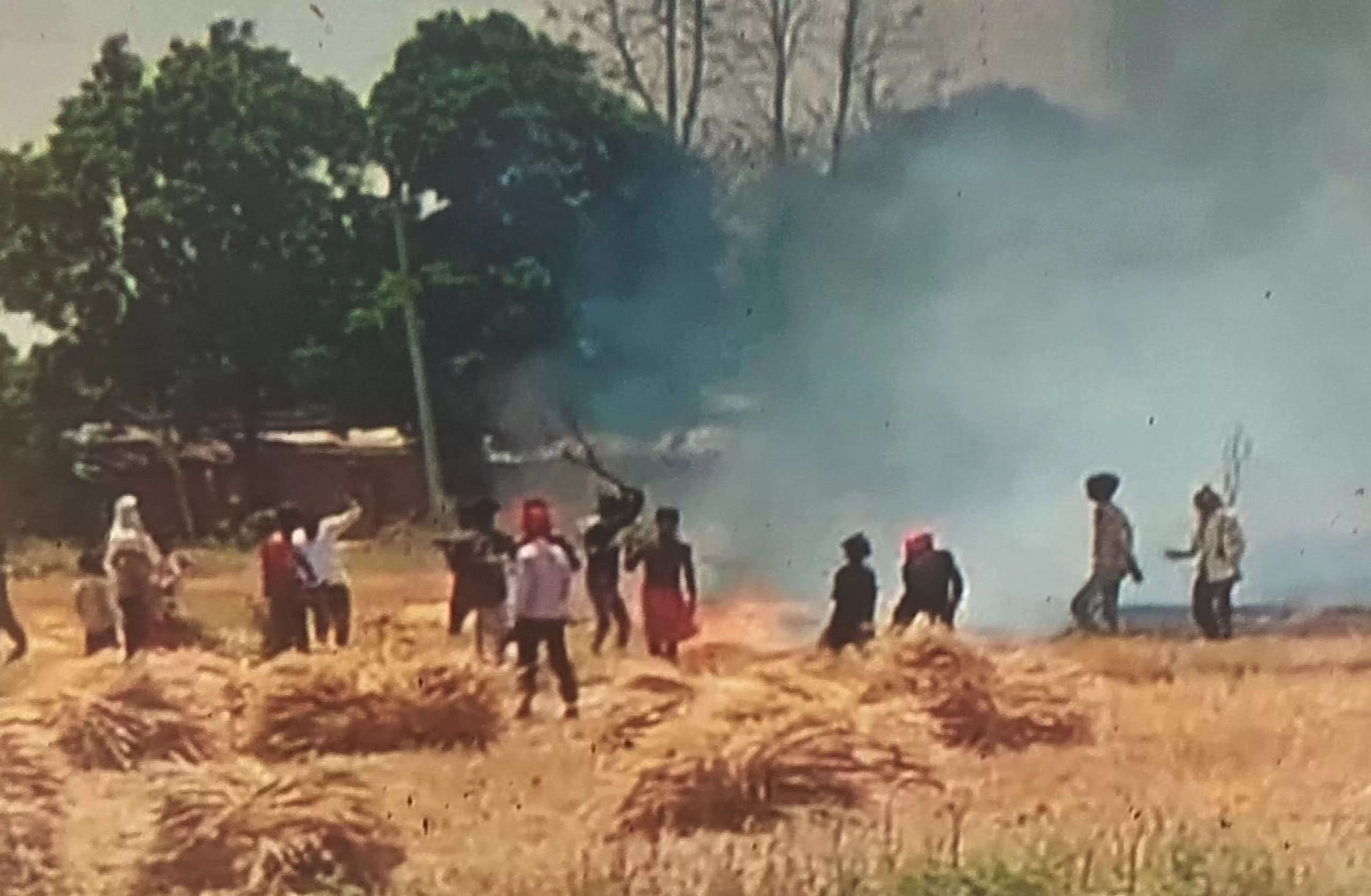 शॉर्ट सर्किट से लगी आग से जली दो बीघे गेहूं की खड़ी फसल