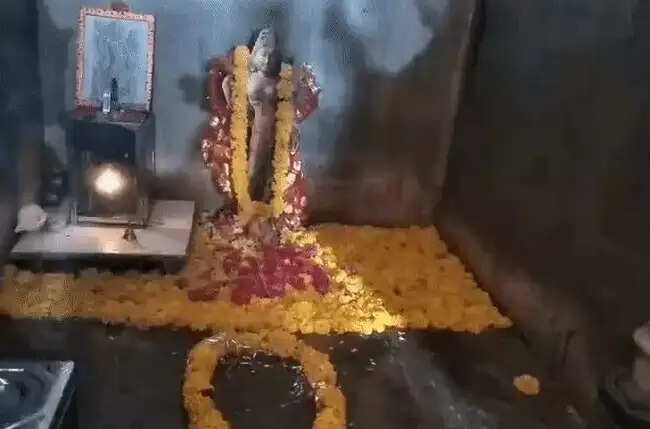 (लीड) मप्र की ऐतिहासिक भोजशाला में वर्षों बाद शुक्रवार को हुई महाआरती, वाग्देवी की प्रतिमा रखकर किया पूजन