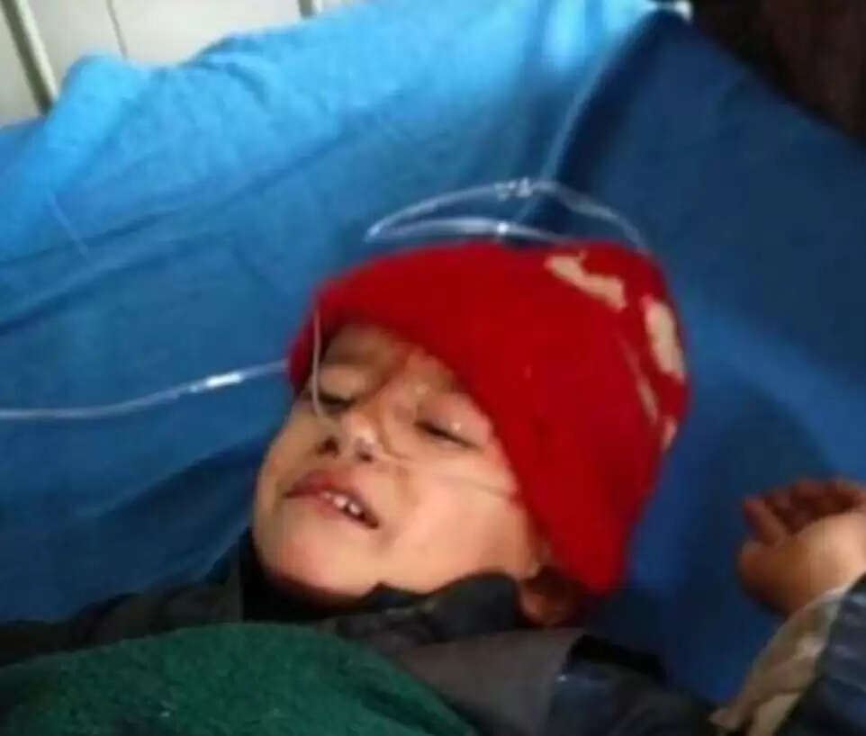 चंपावत में सड़क हादसा, 5 बारातियों की मौत, 5 घायल