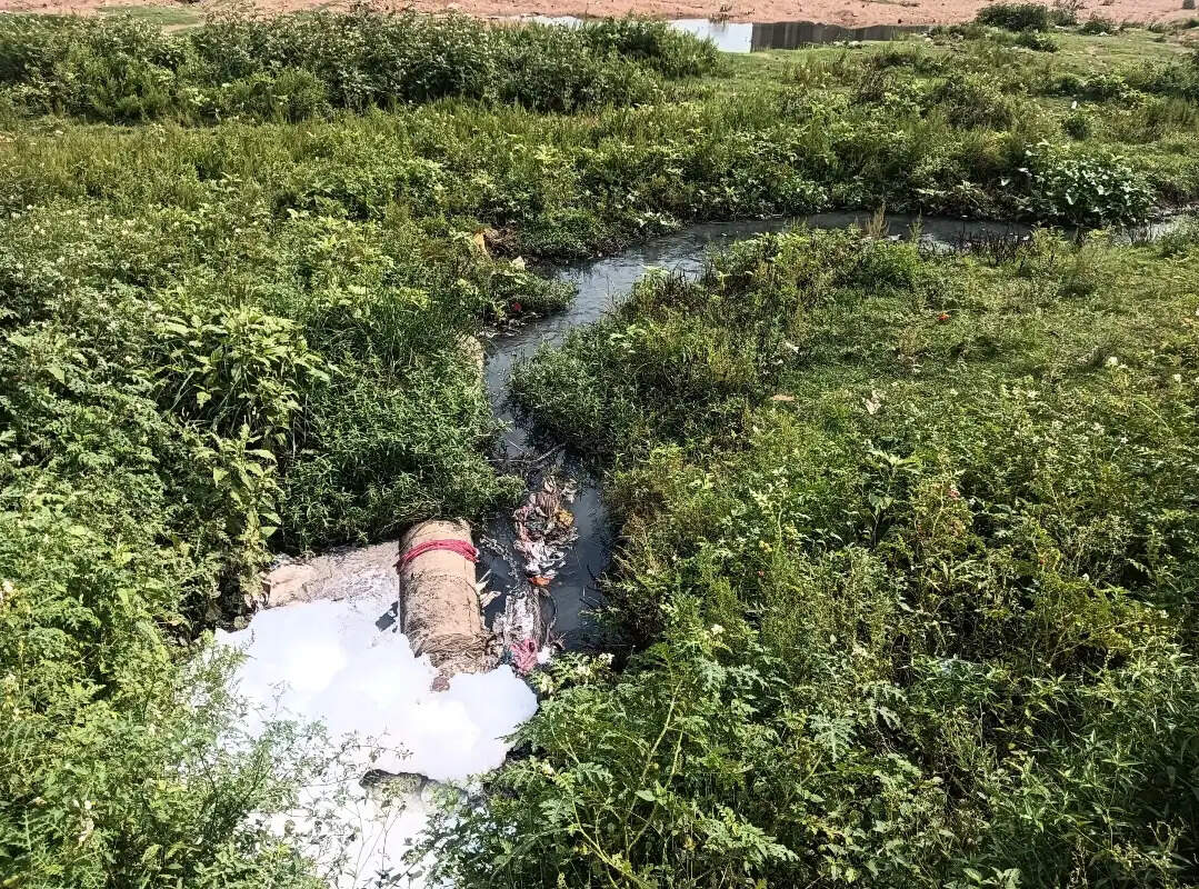 स्वर्णरेखा नदी में हजारों मछलियों की मौत, जांच की मांग