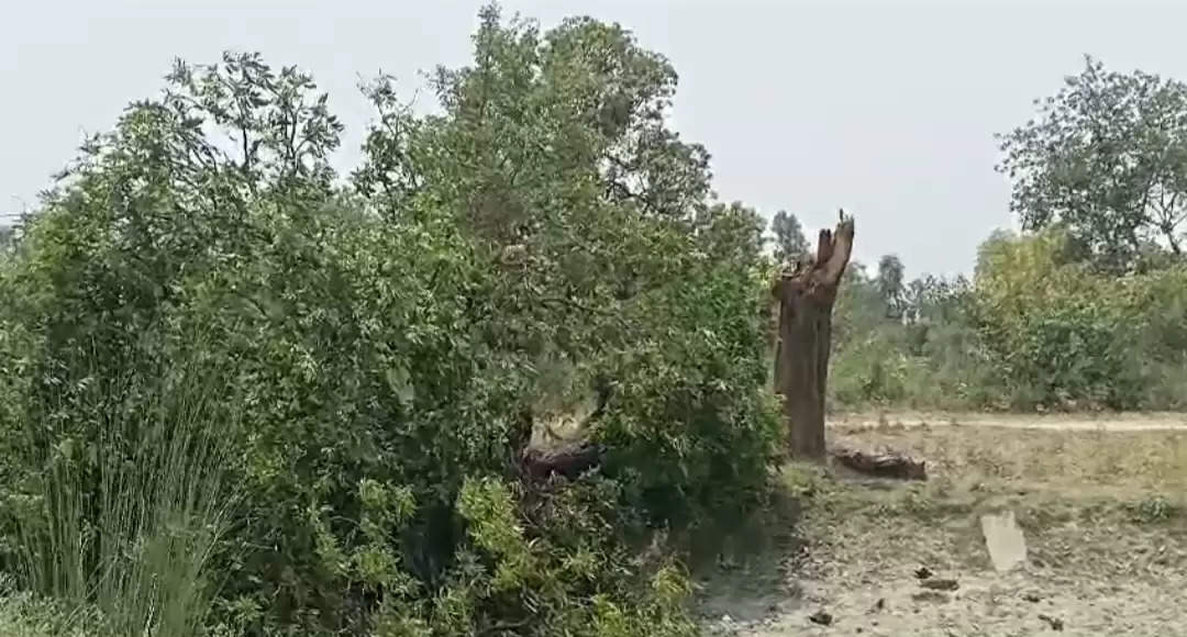 तेज तूफान ने मचाई तबाही और ली परिवार के मुखिया की जान