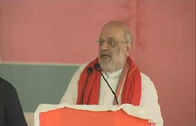 बिहार में राजग गठबंधन की 20 सालों में सबसे बड़ी बहुमत वाली सरकार बनेगी : अमित शाह