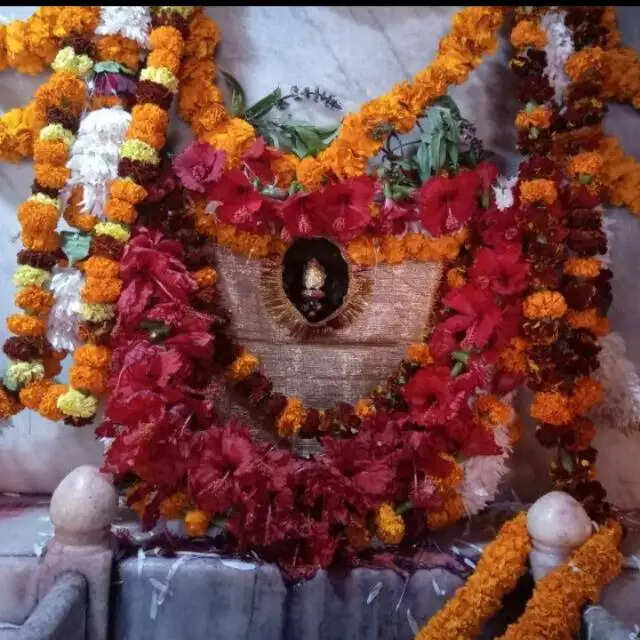 गड़बड़ा धाम में उमड़ी आस्था, 10 हजार श्रद्धालुओं ने टेका माथा