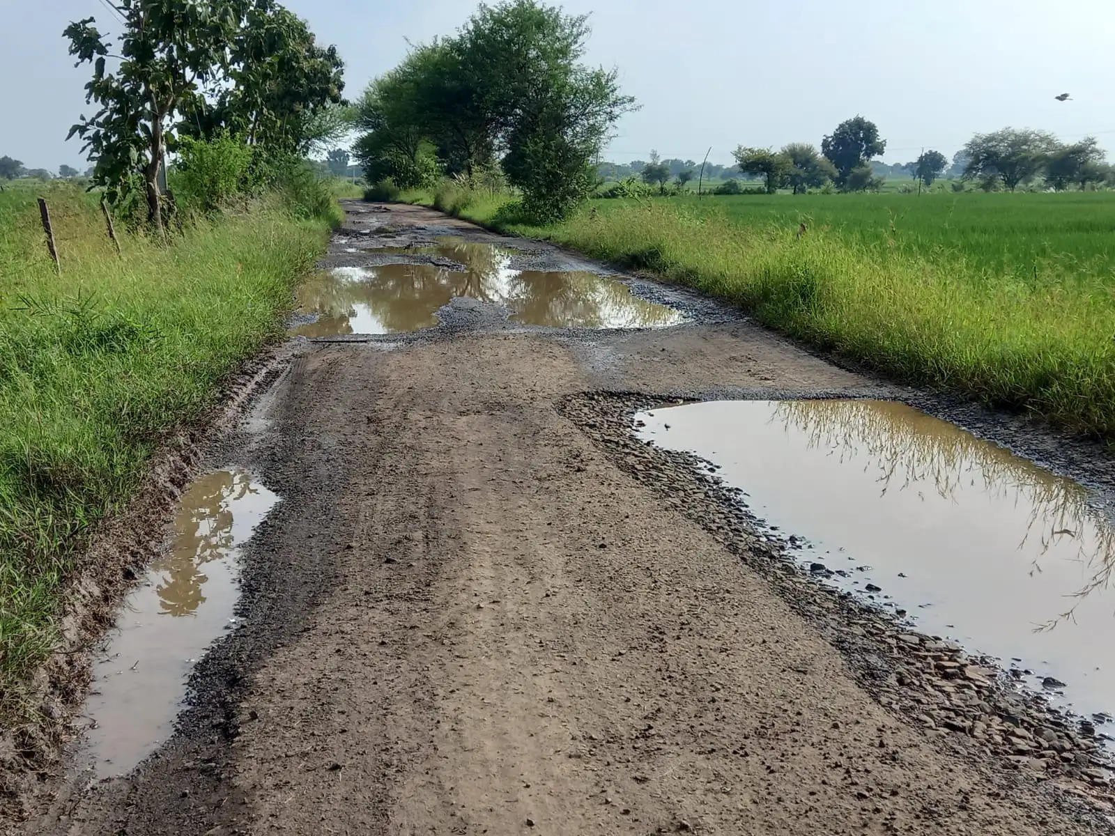 खेतों में रास्तों की समस्या का समाधान के लिए शुरू किया अभियान