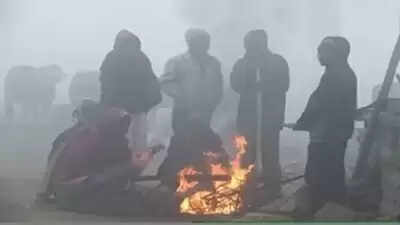 मध्य प्रदेश में सर्दी ने तोड़े रिकार्ड, नौगांव-खजुराहो सबसे ठंडे शहर, जनवरी में और बढ़ेगी ठंड