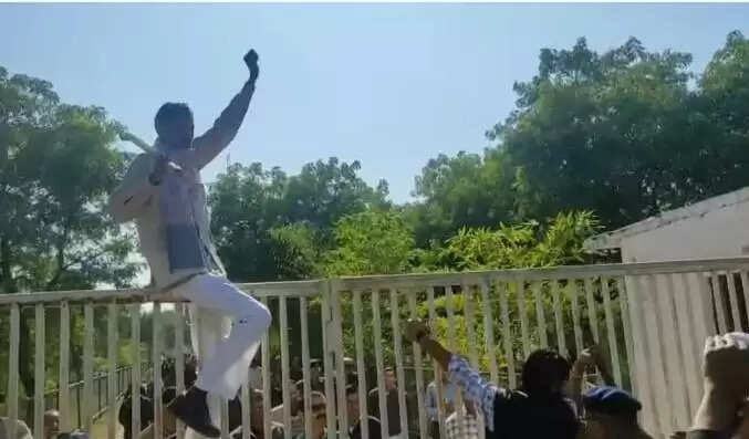 श्योपुरः सैंकड़ों गायों को घेरकर कलेक्ट्रेट पहुंचे विधायक, कलेक्ट्रेट के गेट पर चढ़कर किया प्रदर्शन