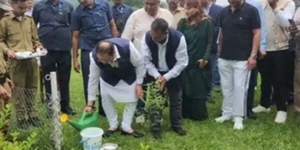 ‘एक पेड़ मां के नाम’ राष्ट्रीय जनआंदोलन बना : जेपी नड्डा