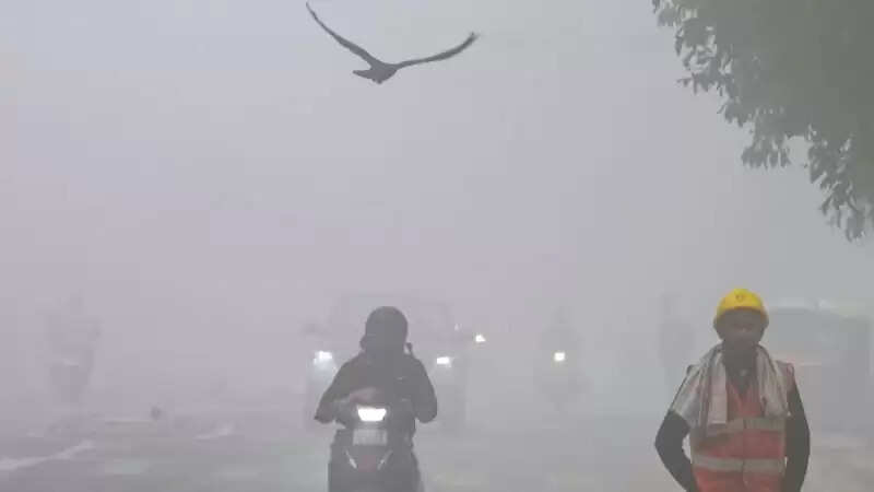 घने कोहरे से मध्‍य प्रदेश बेहाल, 17 जिलों में दृश्यता घटी, 7 जिलों में शीतलहर का अलर्ट
