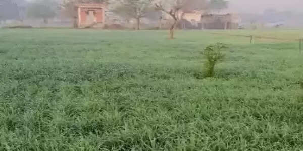 राजस्थान में कड़ाके की ठंड का प्रकोप, कई जिलों में शीतलहर की चेतावनी