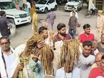 बांदा में बारिश से सैकड़ाें हेक्टेयर धान की फसल बर्बाद, मुआवजे के लिए किसानों का प्रदर्शन