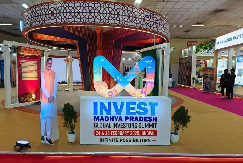 भारत टैक्स-2025 में बाघ प्रिंट और गोंड चित्रकला का सजीव प्रदर्शन रहा आकर्षण का केंद्र