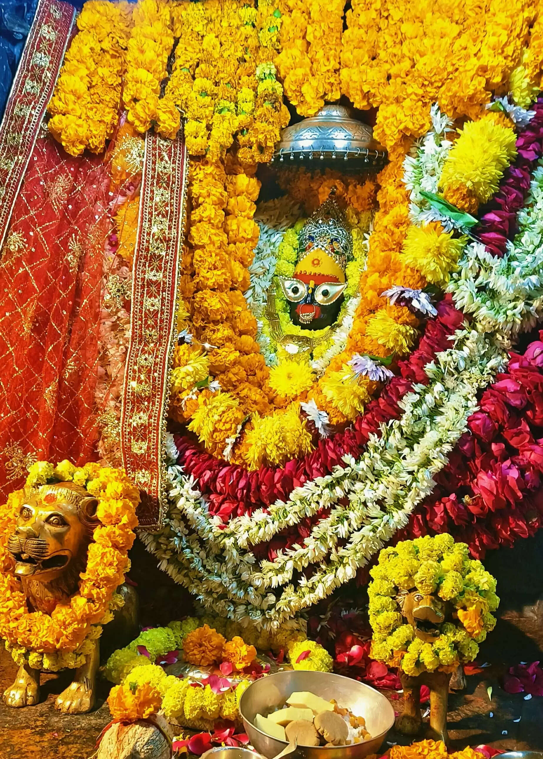 नव वर्ष पर विंध्याचल धाम में उमड़ा श्रद्धा का जनसैलाब