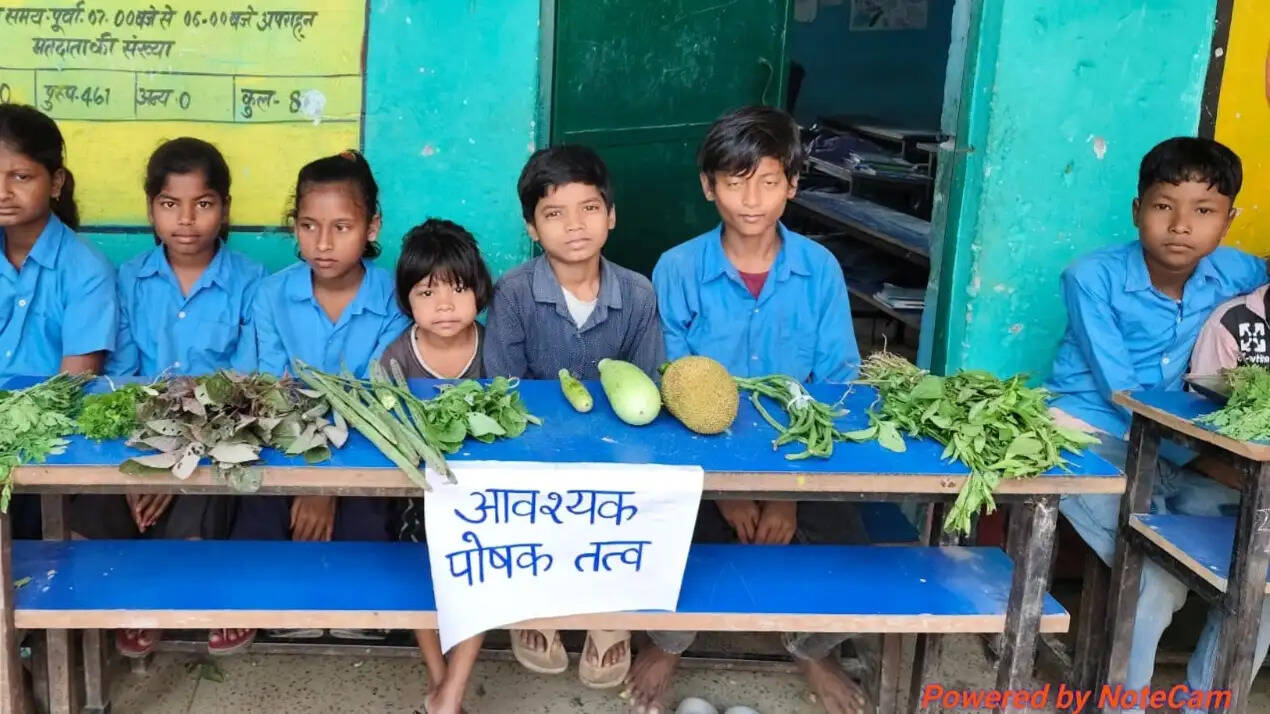 प्राथमिक विद्यालय छुरछुरिया में पोषण पखवाड़ा के तहत जागरूकता कार्यक्रम आयोजित