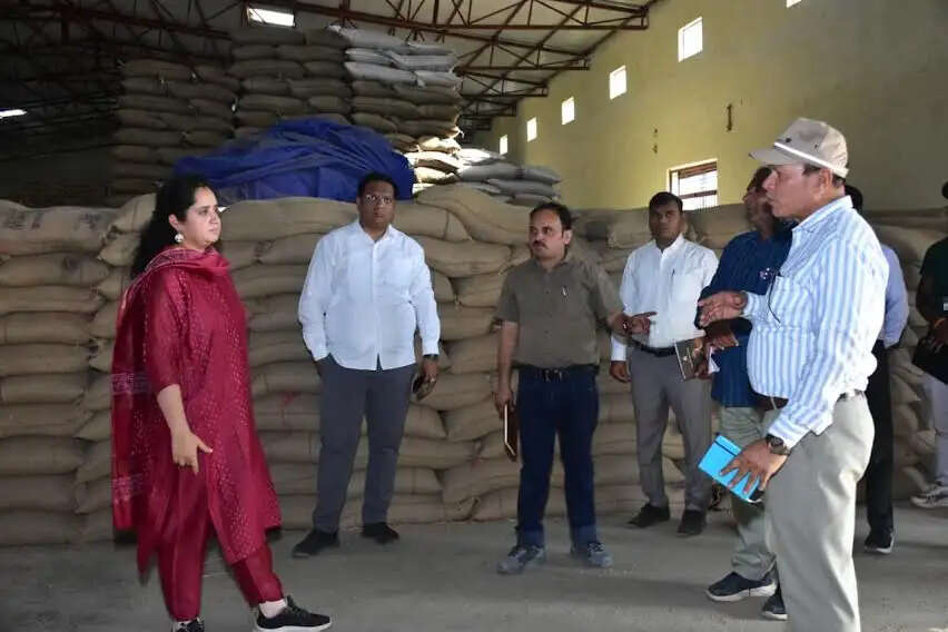 मंदसौर जिले में अब तक 82196.95 मैट्रिक टन गेहूं की खरीदी हुई
