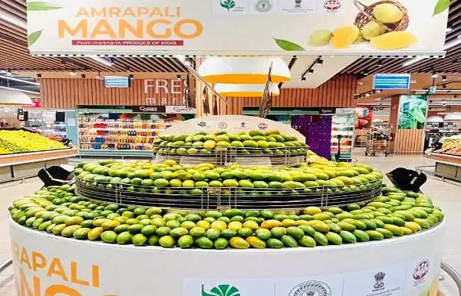 झारखंड का 2 मीट्रिक टन आम्रपाली आम पहुंचा दुबई, किसानों की बढ़ी आमदनी