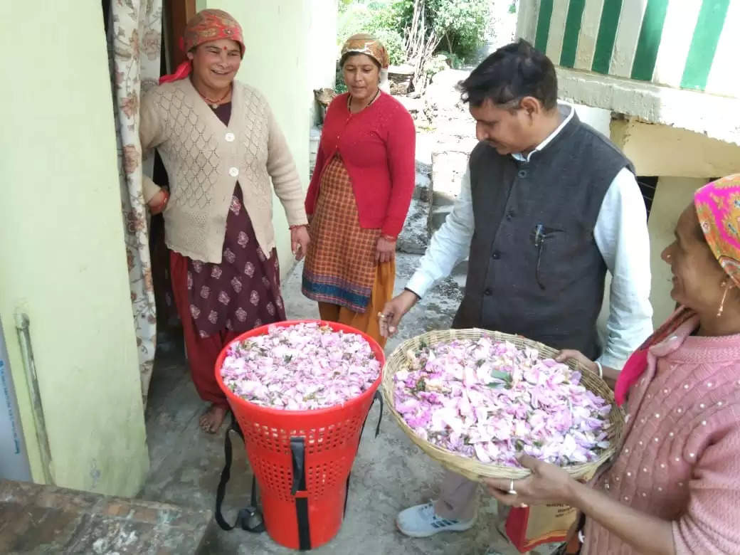 गुलाब की महक से गुलजार हुई जोशीमठ की ग्राम पंचायत द्वींगतपोण