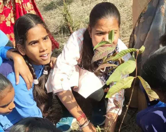 अनूपपुर: राष्ट्रीय बालिका दिवस पर लाडली बालिकाओं ने किया पौधरोपण