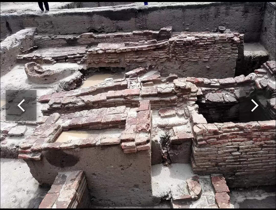 कीलाडी उत्खनन की रिपोर्ट में एएसआई ने गिनवाईं कई खामियां, 800 ईसा पूर्व के नहीं मिले सबूत