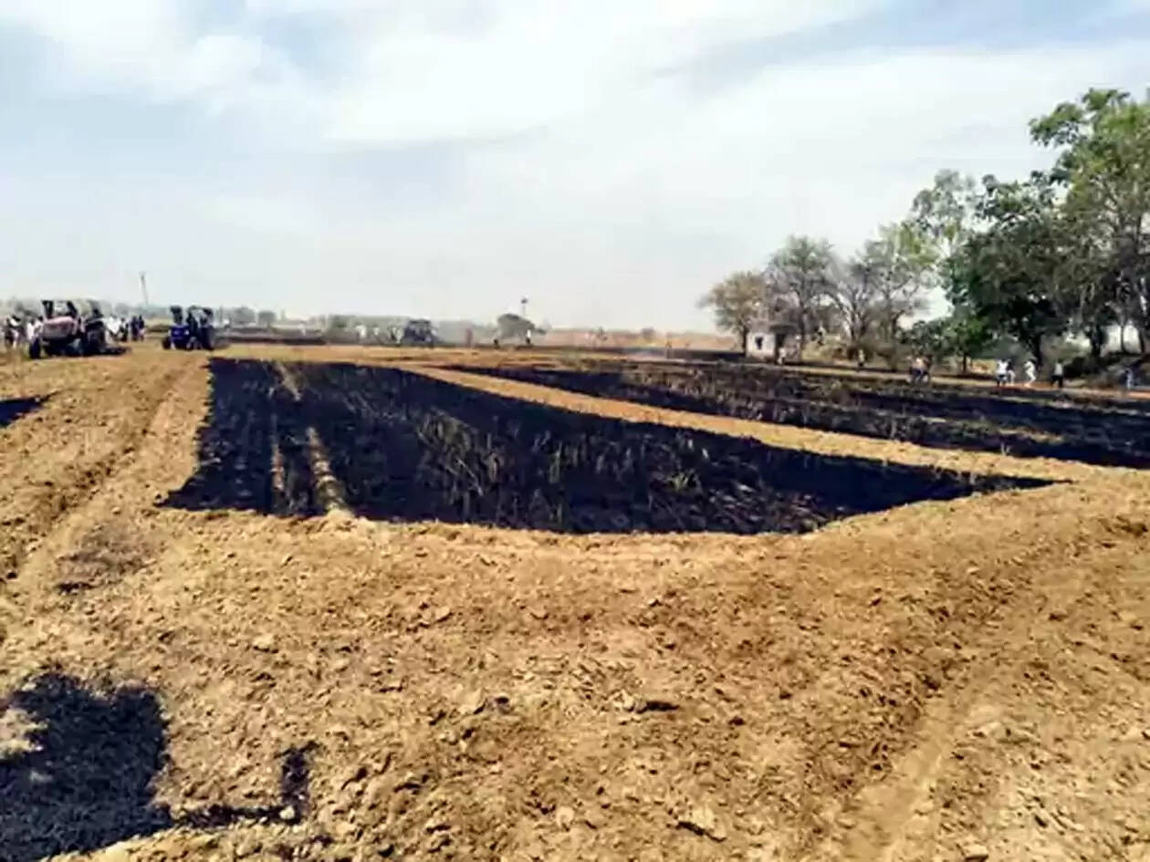 हांसी : आग लगने से कई एकड़ में रखा पशु चारा जला