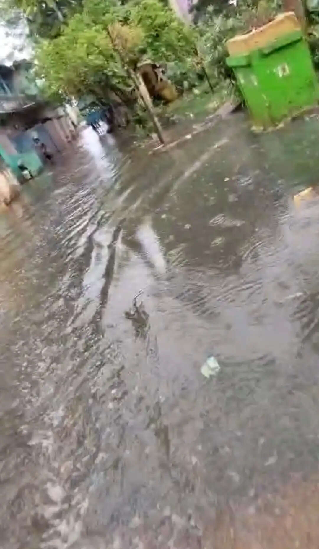 मूसलाधार बारिश से धमतरी शहर बेहाल , गलियों में जलभराव, निचली बस्तियों के सैकड़ों परिवार प्रभावित