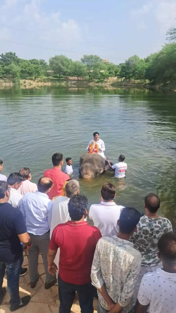 आमेर के हाथी गांव में अविनाश गहलोत ने किया गणपति विसर्जन