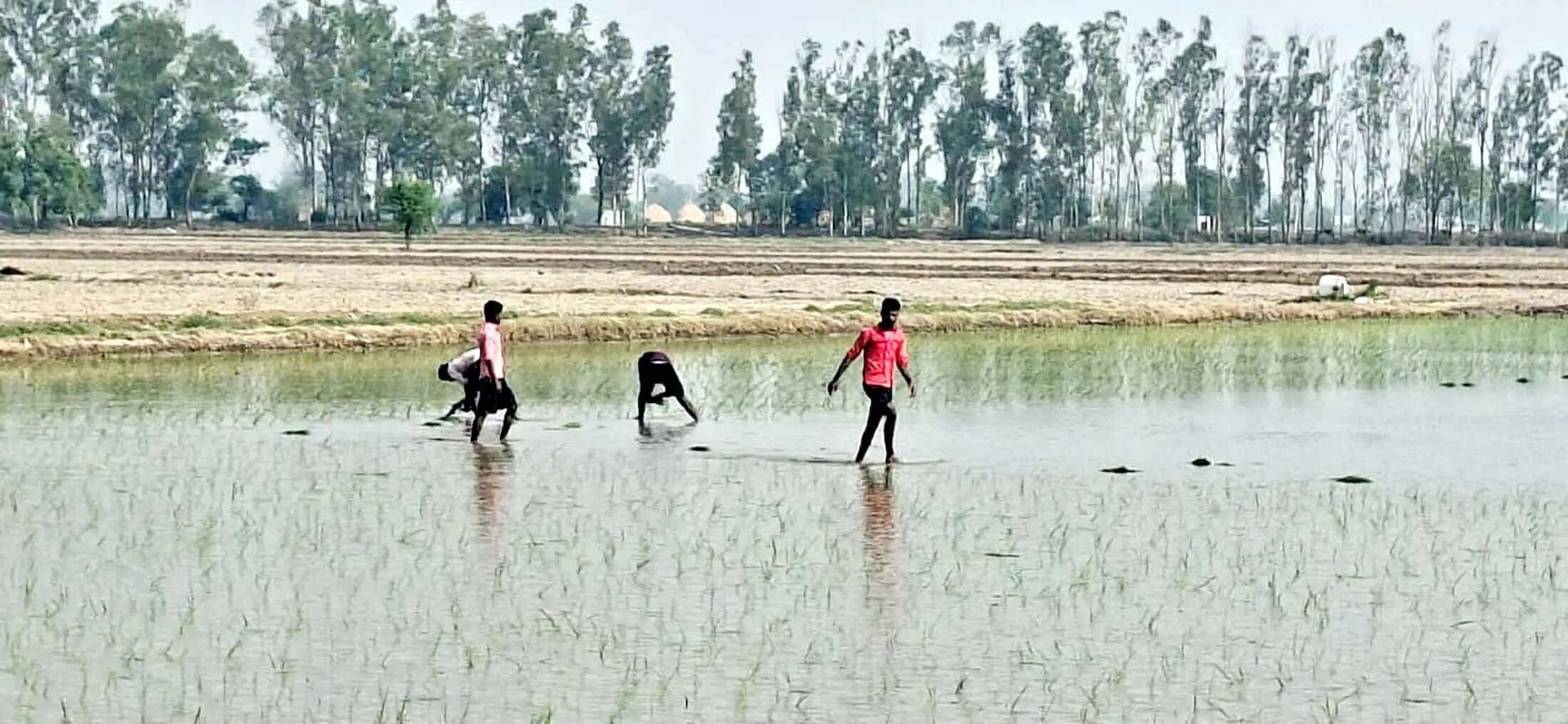 जींद : उमस भरी गर्मी और तपिश से आमजन परेशान
