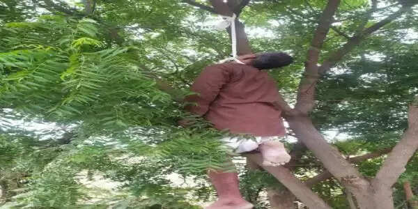 राजगढ़ः नीम के पेड़ पर लटका मिला व्यक्ति का शव, जांच शुरु