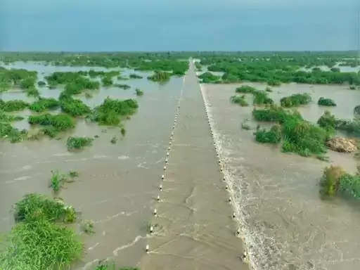 लूणी नदी बही तो नाचने लगे ग्रामीण, ढोल-थाली के साथ किया स्वागत