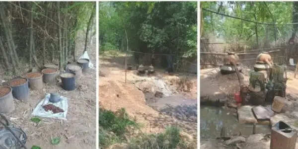 पश्चिमी सिंहभूम में अवैध शराब कारोबार पर उत्पाद विभाग की बड़ी कार्रवाई, चार गिरफ्तार