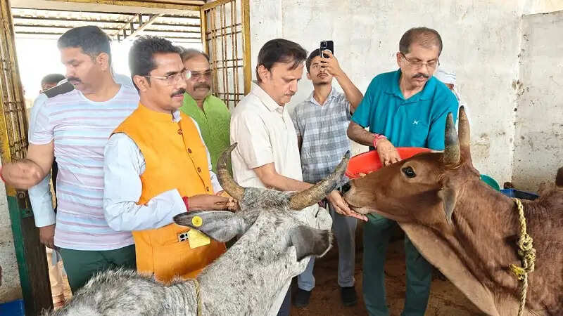 गौ संरक्षण एवं प्राकृतिक खेती का दिव्यधाम बनेगा हिनौती गौधाम : उप मुख्यमंत्री शुक्ल