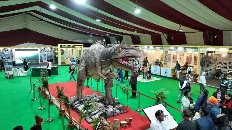 अंतरराष्ट्रीय वन मेलाः हर्बल उत्पादों की खरीदी में लोगों का भारी रूझान