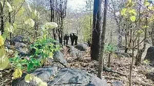 छत्तीसगढ़ के नारायणपुर में मुठभेड़, दो महिला नक्सली ढेर