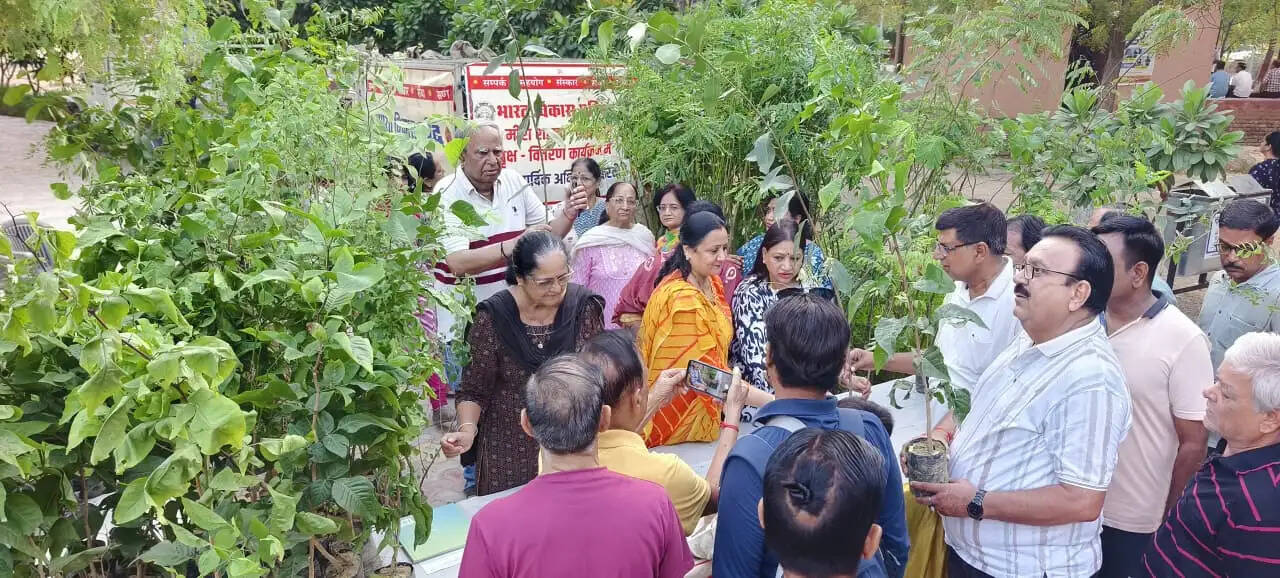भारत विकास परिषद द्वारा भव्य पौधा वितरण महा-अभियान आयोजित, बांटे गए 1000 पौधे