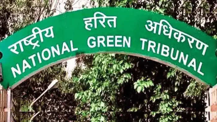 एनजीटी ने साकेत वन क्षेत्र अतिक्रमण मामले में डीडीए से मांगी लंबित मामलों की पूरी जानकारी