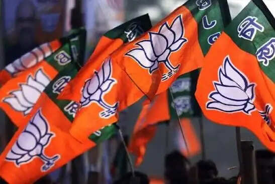 उपचुनाव परिणामः अंतर्कलह से दतिया तो बांकीपुर में नब्ज पकड़ने में फेल हुई भाजपा