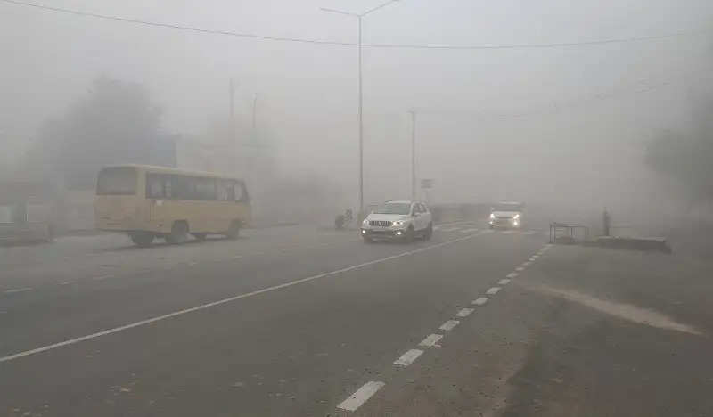 मुरैनाः कोहरे के चलते सर्दी का सितम जारी, अलाव का सहारा ले रहे लोग