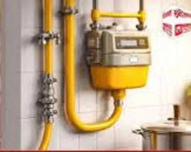 घरेलू उपभोक्ताओं को पाइपलाइन के माध्यम से प्राकृतिक गैस के उपयोग को बढ़ावा