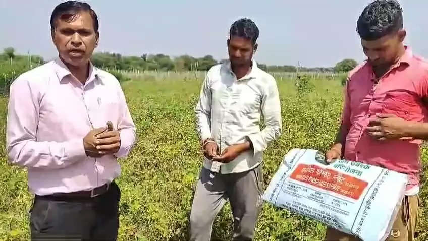 शिवपुरी: कृषि वैज्ञानिकों दारा उर्वरक प्रबंधन के बारे में किसानों को दी जा रही है सलाह