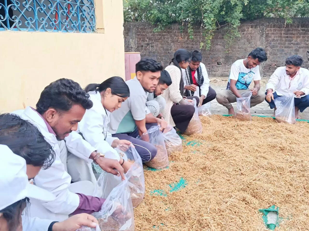 ग्राम बानगर में ग्रामीणाें के समक्ष किया गया मशरूम उत्पादन का प्रायोगिक प्रदर्शन