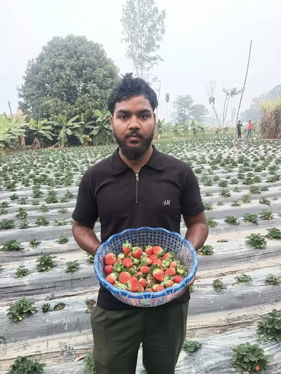 जौनपुर के किसानों ने स्ट्राबेरी की खेती से की लाखों की आमदनी