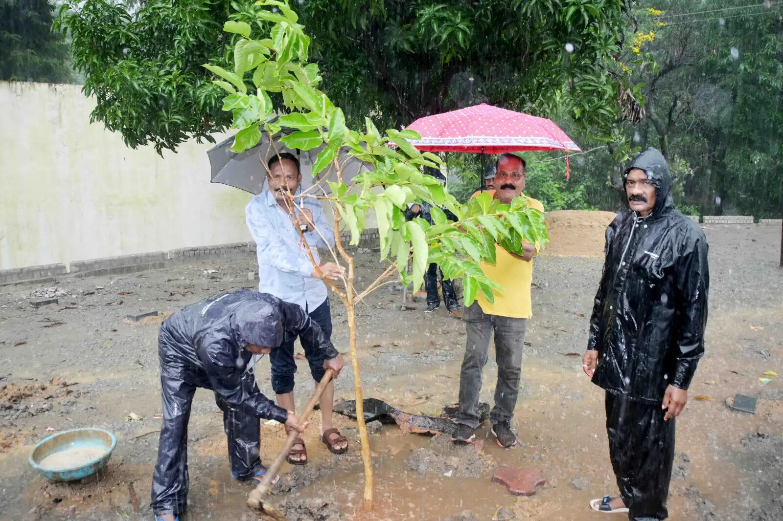 अप्पू गार्डन मुख्य मार्ग पर ‘एक पेड़ मां के नाम’ अभियान के तहत हुआ वृक्षारोपण