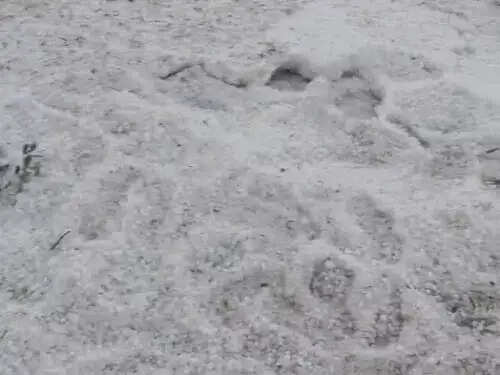 राजस्थान में फिर बदलेगा मौसम, 13 जिलों में आंधी-बारिश और ओलावृष्टि का अलर्ट